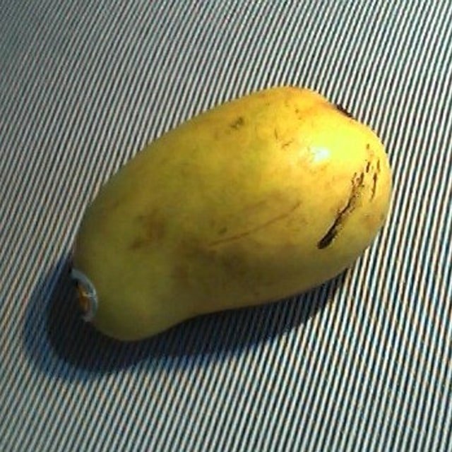 Ataulfo Honey Mango