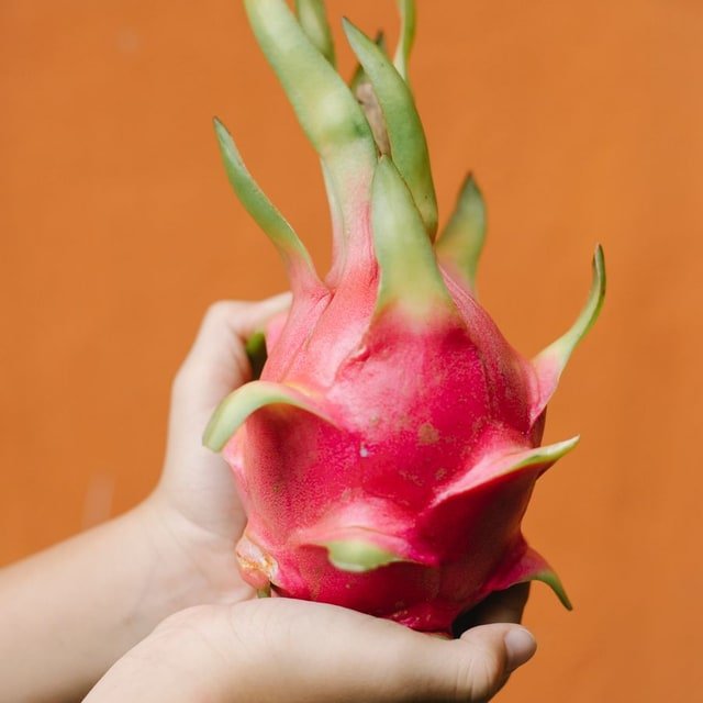 Fuji Crimson Apple